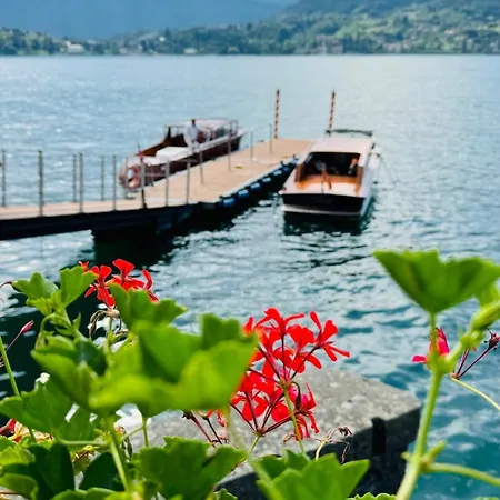 Bertoni Lakeside تريميتْسّو